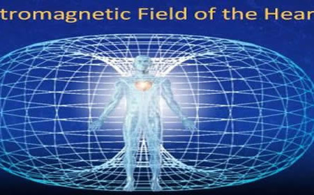 The Soul Experiences the Human Experience Game Within its Own individual Projected Holographic Energy Field, it is Literally in its Own World.
